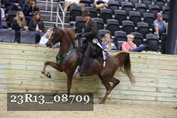 23R13_08709 thumbnail