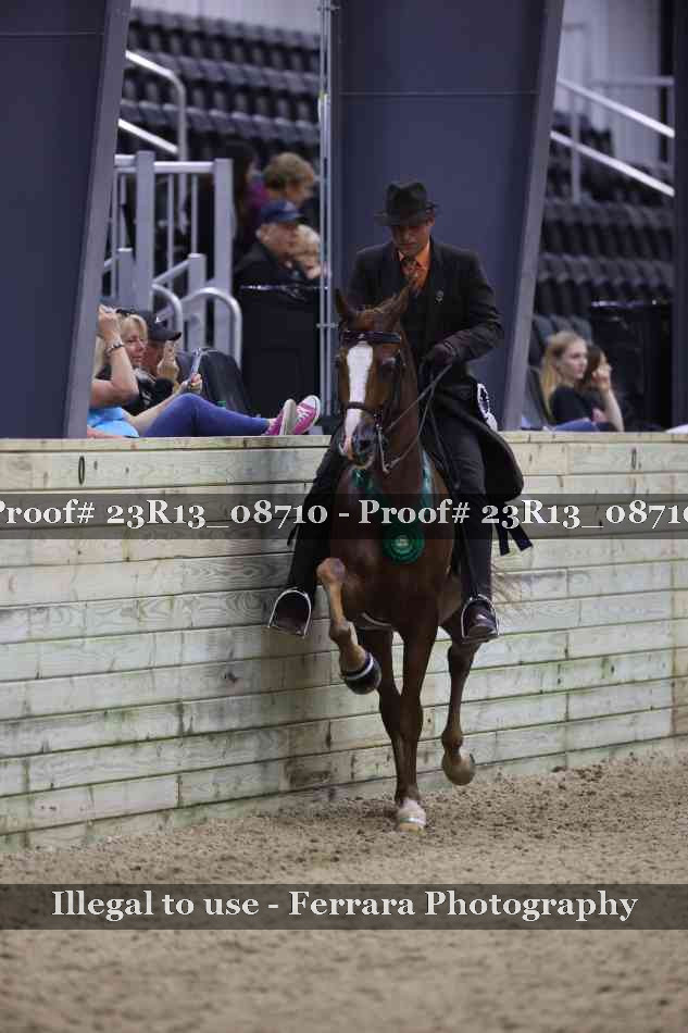 Proof Number 23R13_08710
