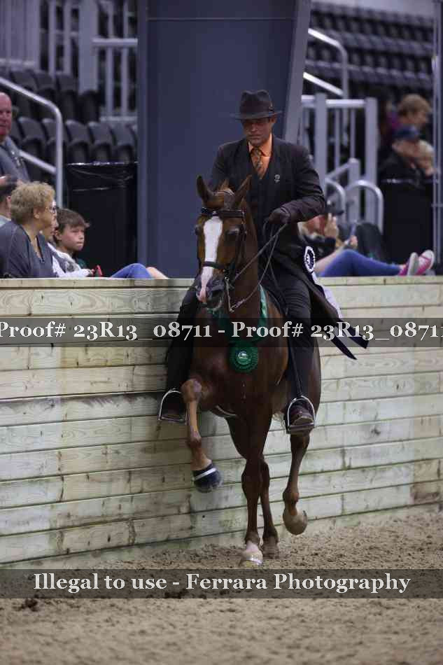 Proof Number 23R13_08711
