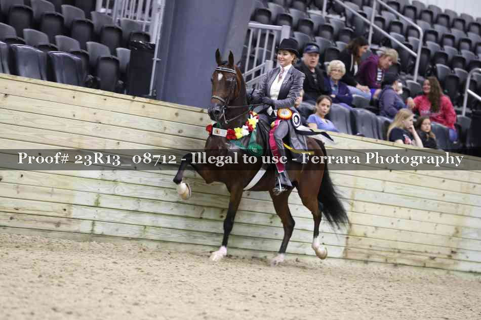 Proof Number 23R13_08712