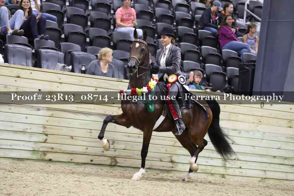 Proof Number 23R13_08714