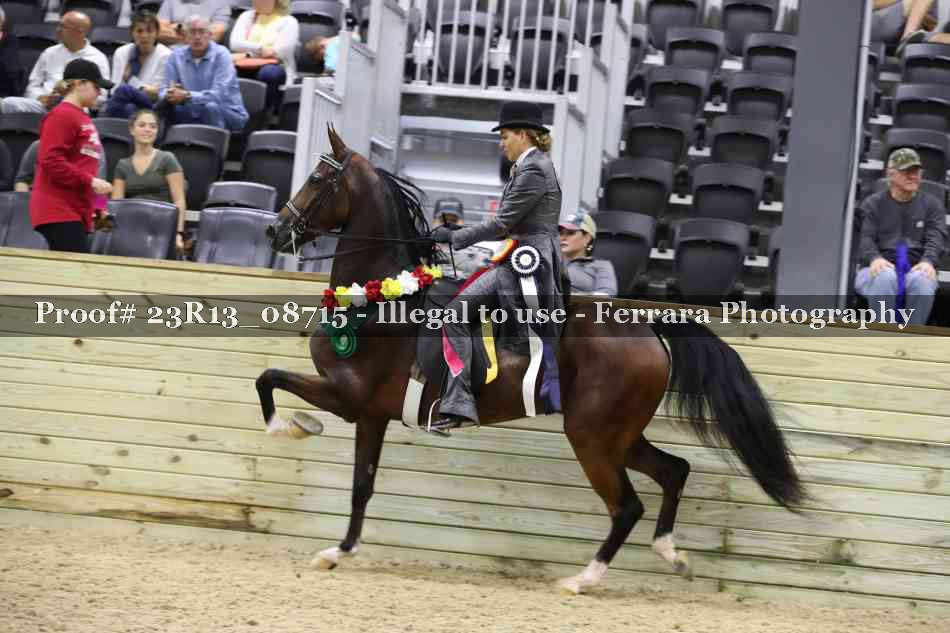 Proof Number 23R13_08715
