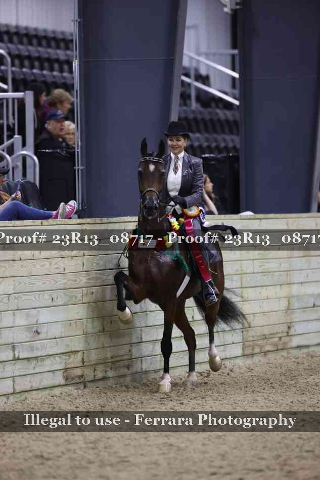 Proof Number 23R13_08717