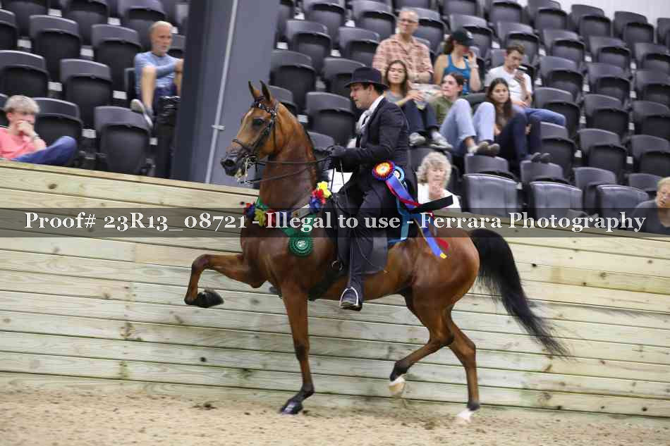 Proof Number 23R13_08721