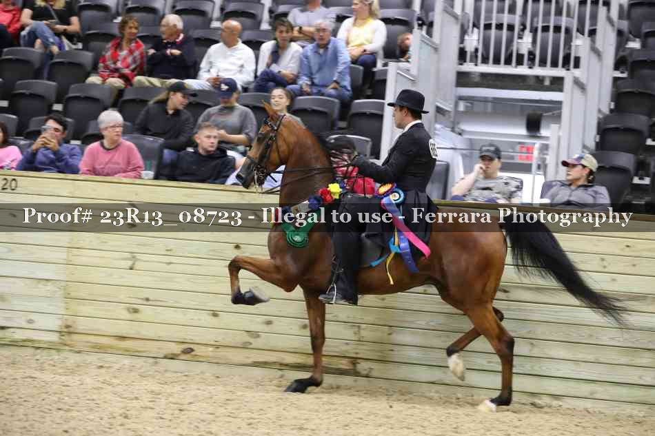Proof Number 23R13_08723