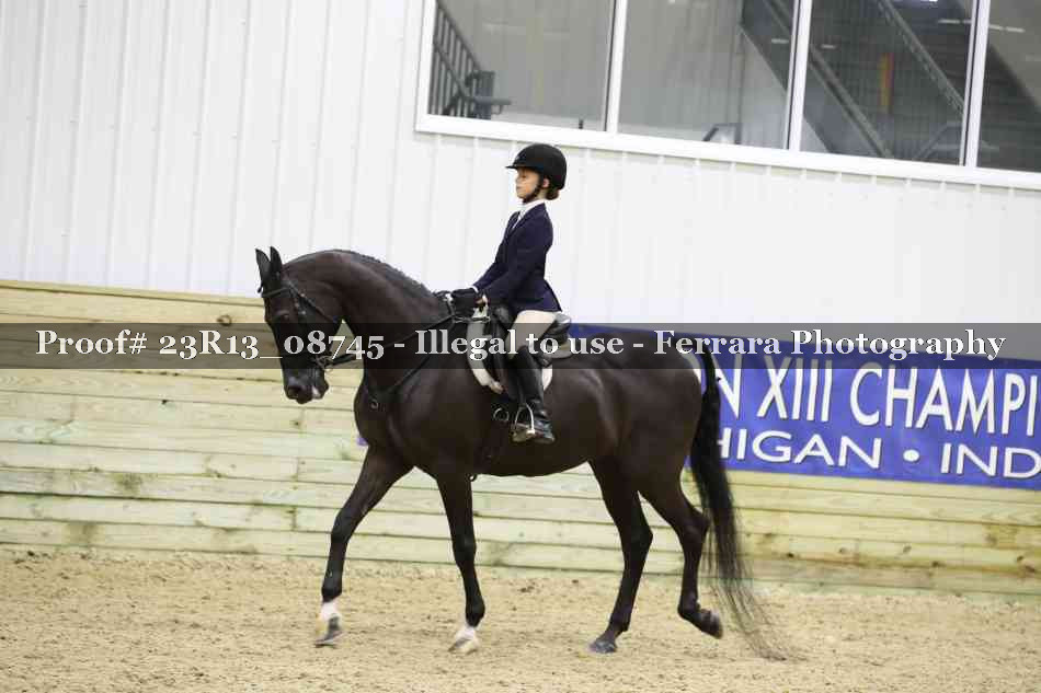 Proof Number 23R13_08745