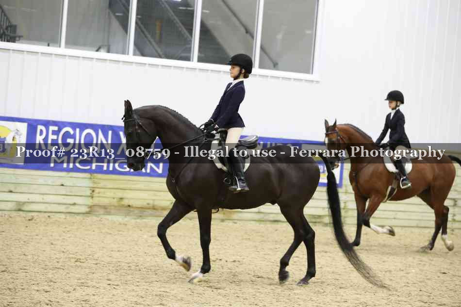 Proof Number 23R13_08759