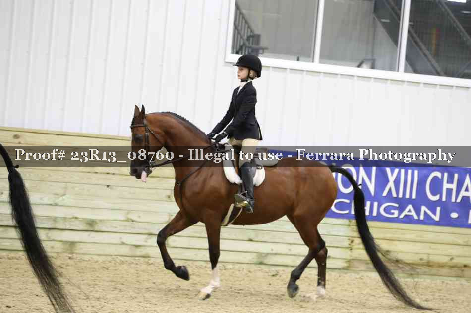 Proof Number 23R13_08760