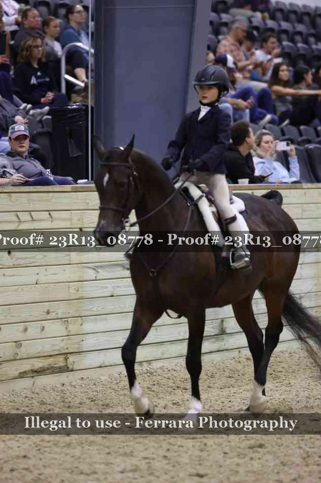 Proof Number 23R13_08778