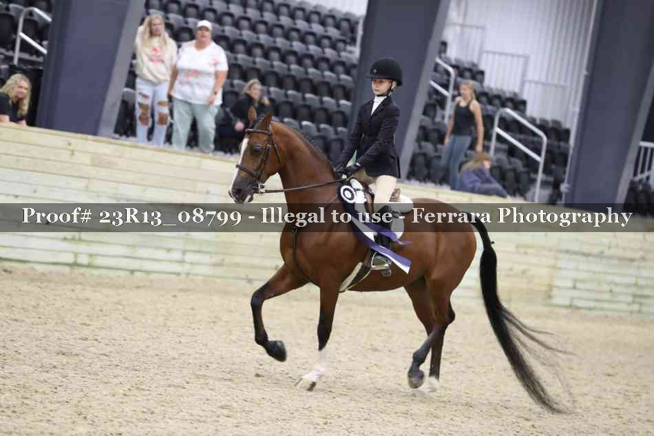 Proof Number 23R13_08799