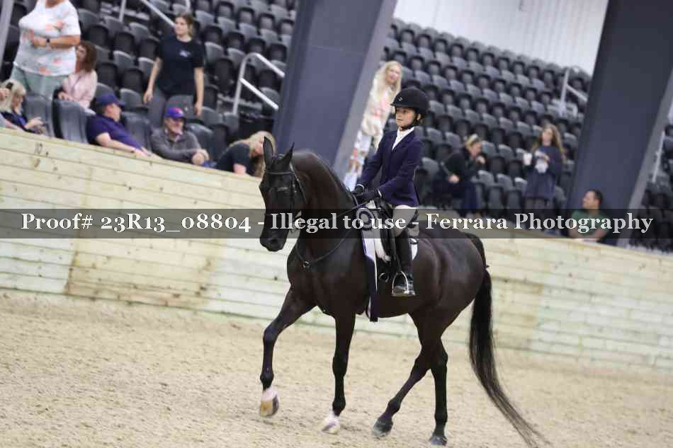 Proof Number 23R13_08804