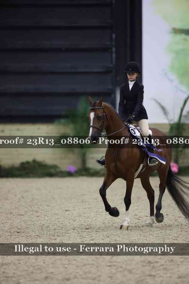 Proof Number 23R13_08806