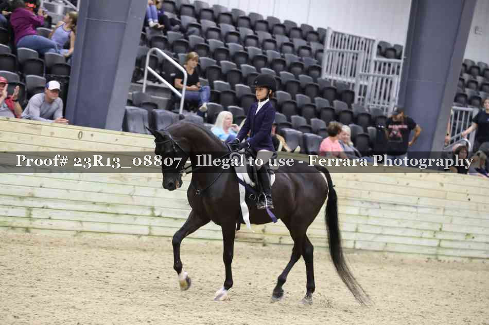 Proof Number 23R13_08807