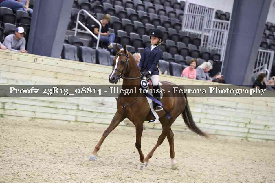 Proof Number 23R13_08814
