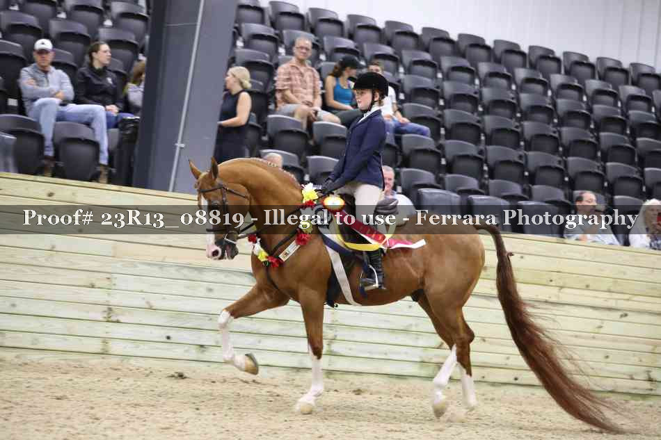 Proof Number 23R13_08819