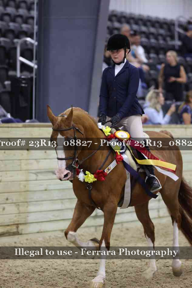 Proof Number 23R13_08827