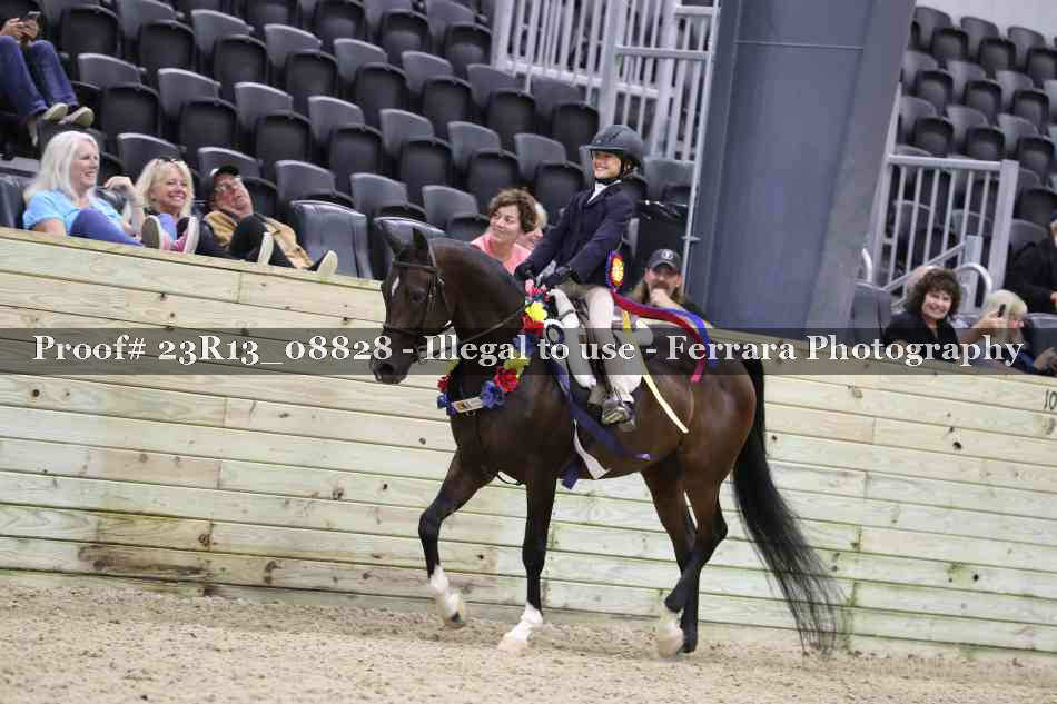 Proof Number 23R13_08828