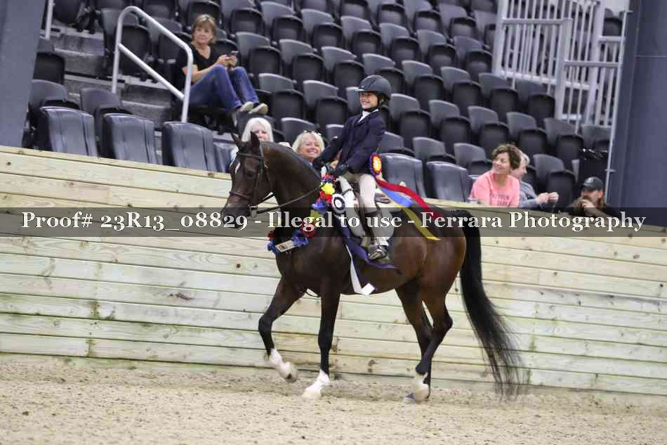 Proof Number 23R13_08829
