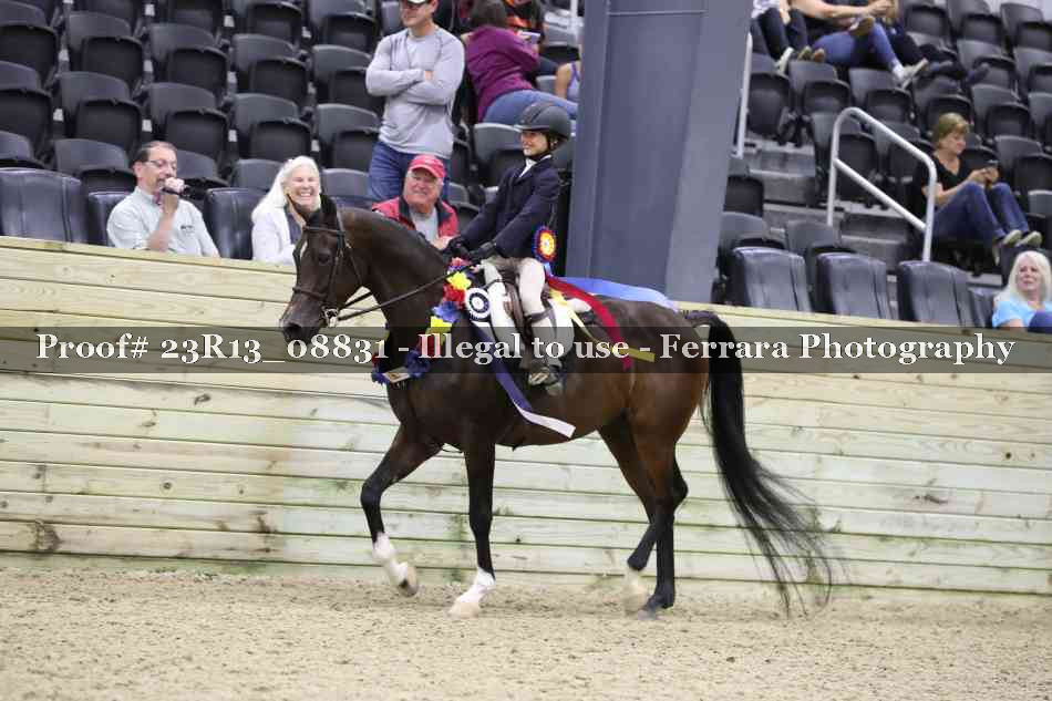 Proof Number 23R13_08831