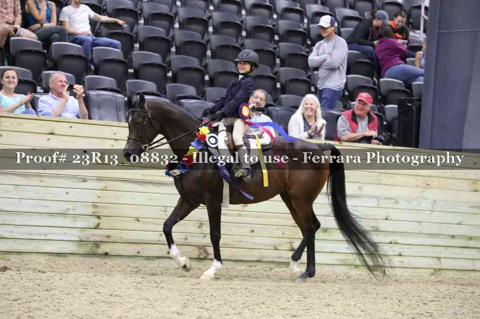 Proof Number 23R13_08832