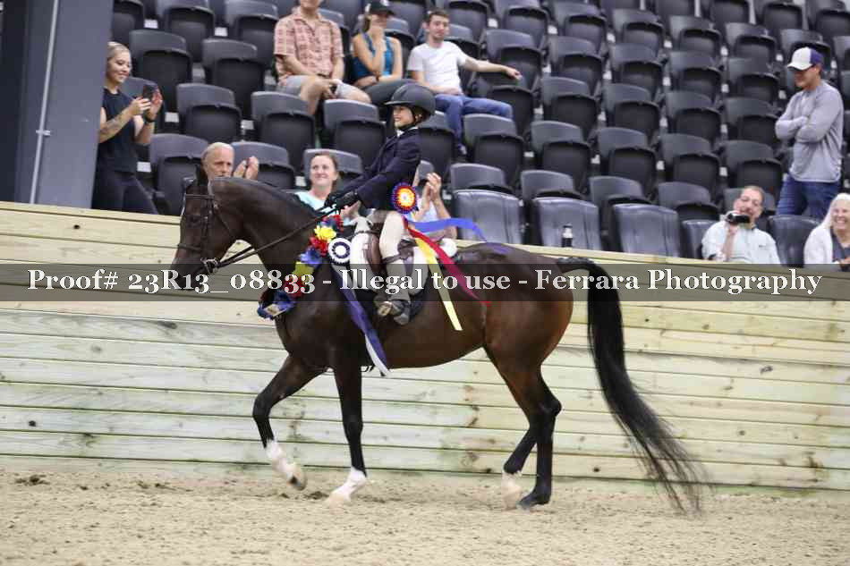 Proof Number 23R13_08833