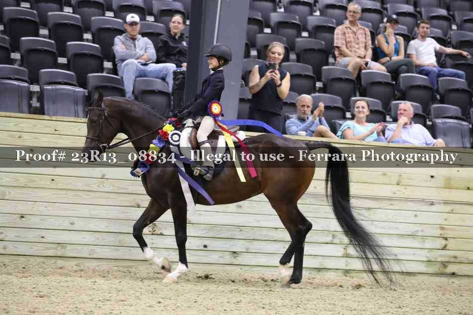 Proof Number 23R13_08834