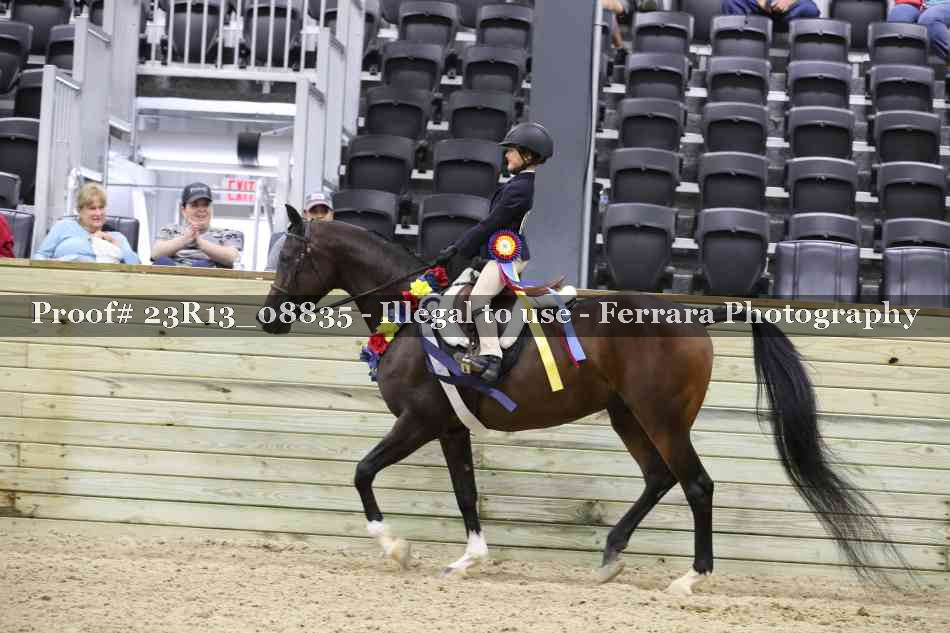 Proof Number 23R13_08835