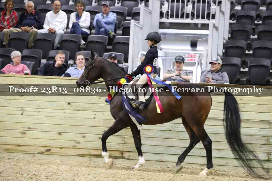Proof Number 23R13_08836