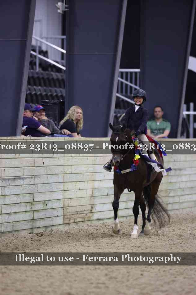 Proof Number 23R13_08837
