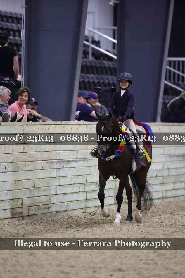 Proof Number 23R13_08838