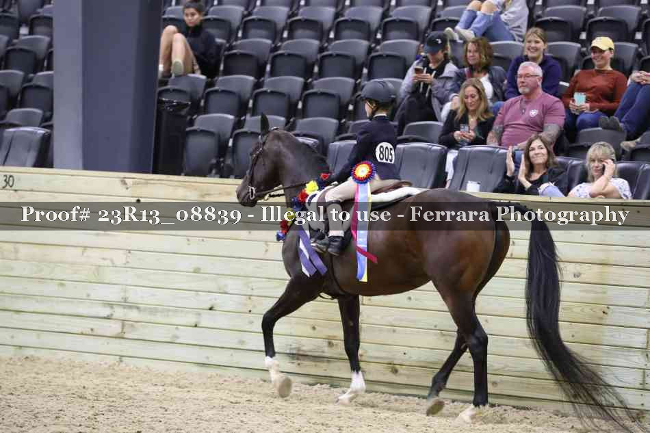 Proof Number 23R13_08839