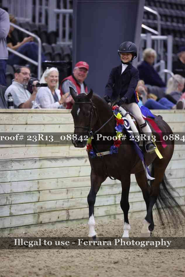 Proof Number 23R13_08842