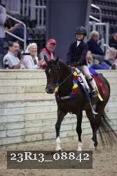 23R13_08842 thumbnail