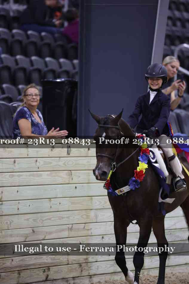Proof Number 23R13_08843