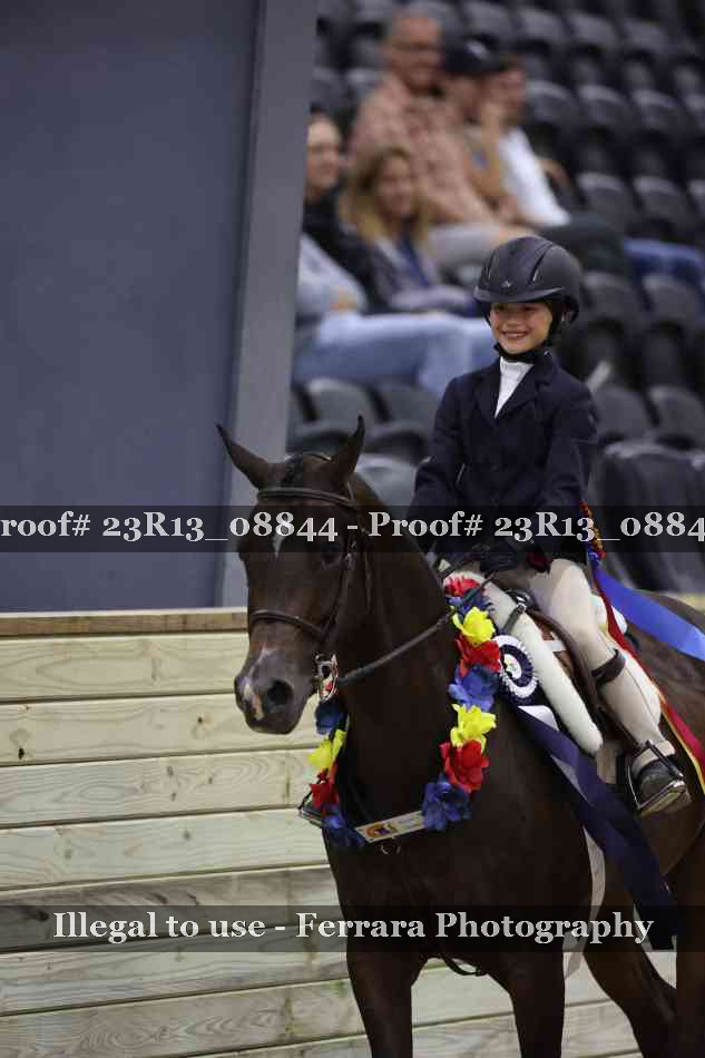 Proof Number 23R13_08844