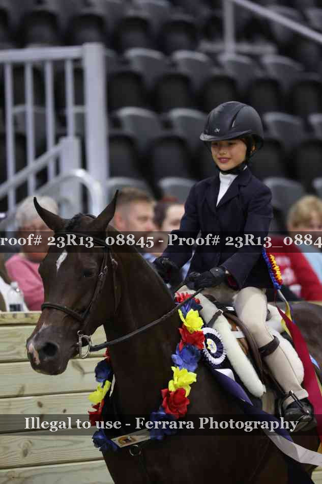 Proof Number 23R13_08845