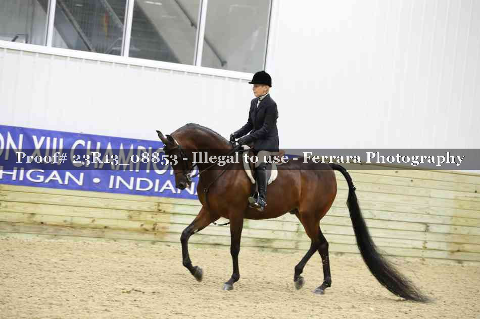 Proof Number 23R13_08853