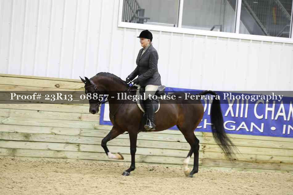 Proof Number 23R13_08857