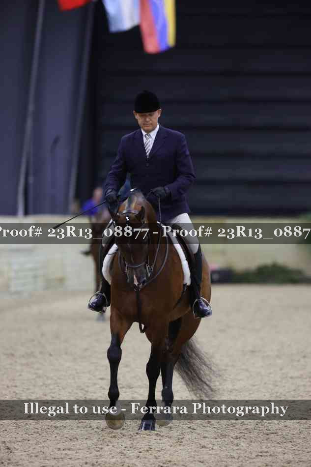 Proof Number 23R13_08877
