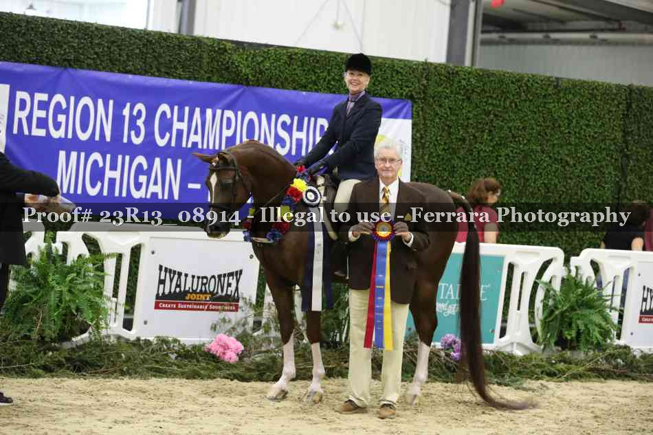 Proof Number 23R13_08914