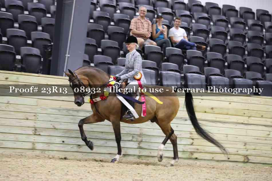 Proof Number 23R13_08932