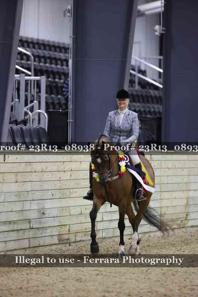 Proof Number 23R13_08938