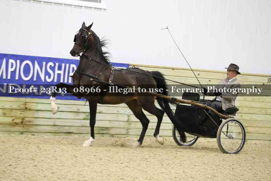 Proof Number 23R13_08966