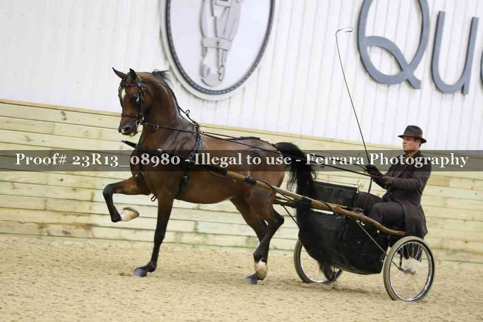 Proof Number 23R13_08980