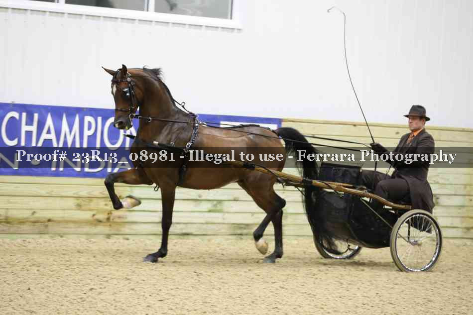 Proof Number 23R13_08981