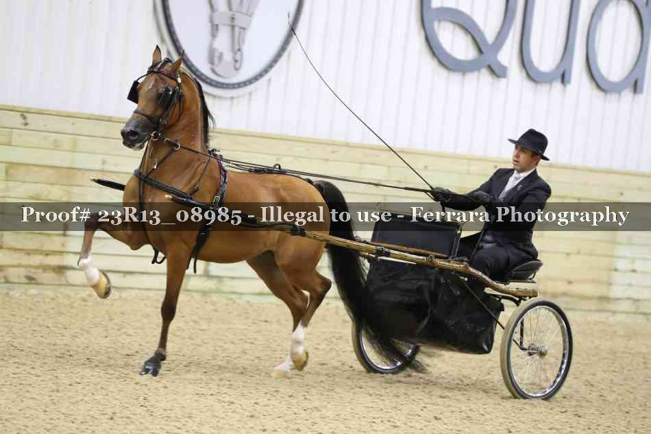 Proof Number 23R13_08985