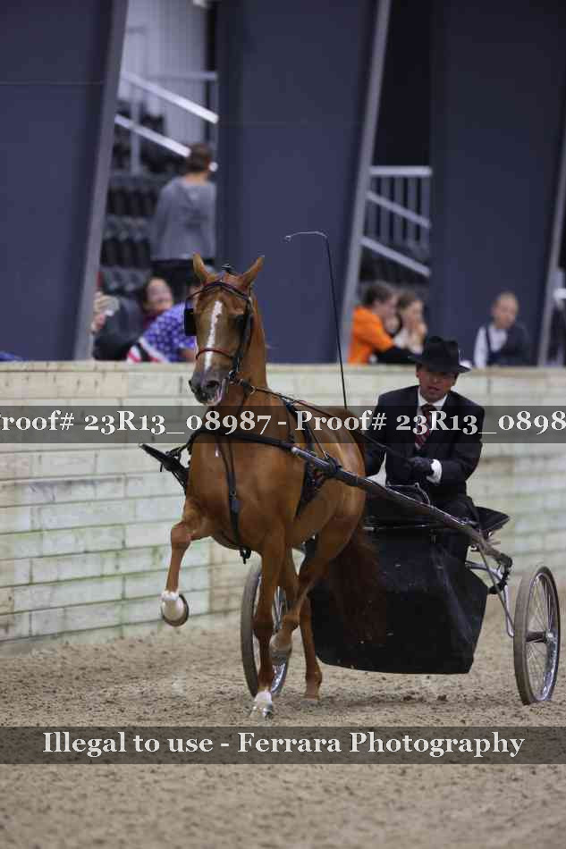 Proof Number 23R13_08987