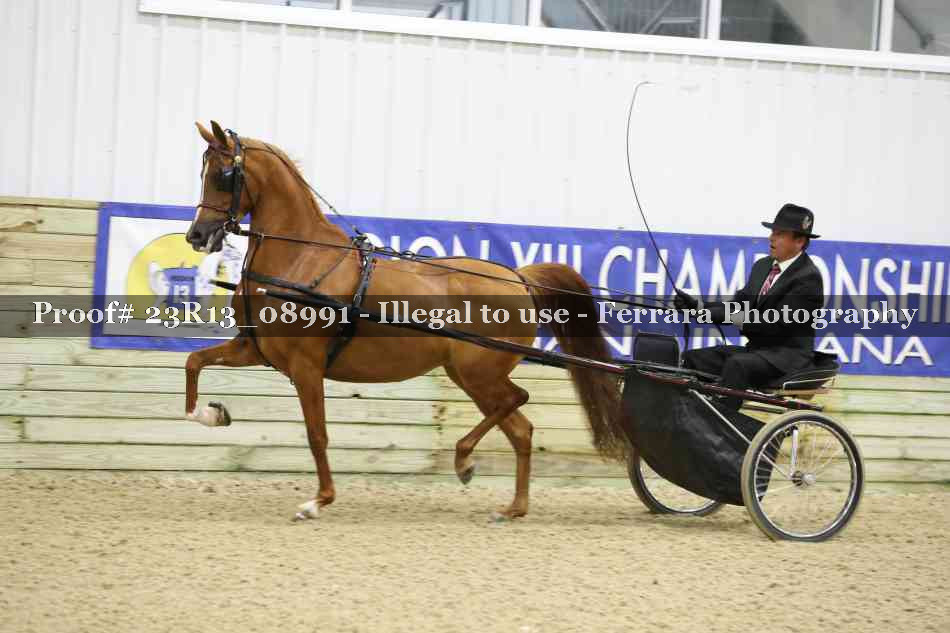 Proof Number 23R13_08991