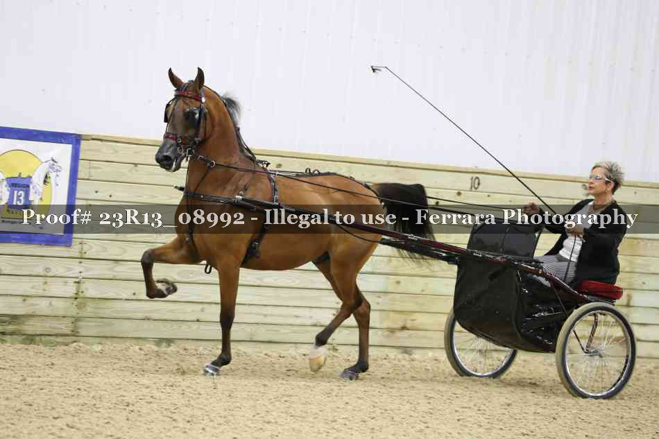 Proof Number 23R13_08992