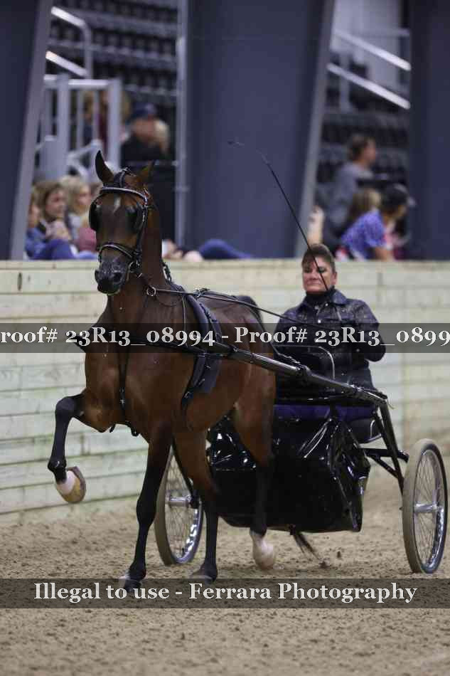 Proof Number 23R13_08994